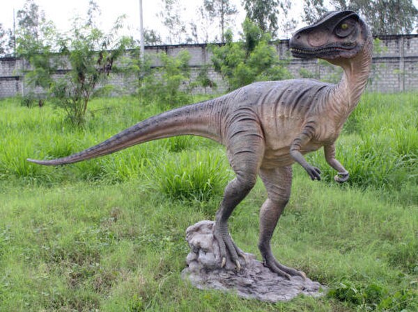 Allosaurus Dinosaur Statue Fiberglass Realistic Display Jurassic Sized